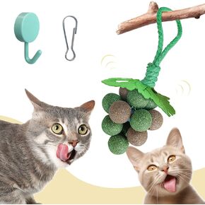 PAKESI Catnip Toys Balls,Set of 9 Catnip Balls and 4 Bug Berry Balls,Teeth Cleaning Cat Bite Toy, Cat Wall Treats, Interactive Cat Toys for Hours of Play in Kuwait