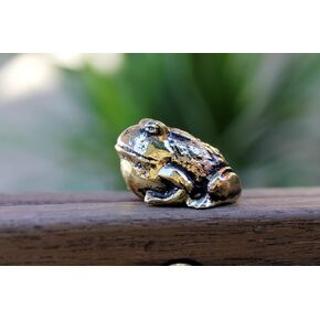 Brass Toad Frog Figurine Hand-Curved and Hand-Casted Spiritual Animal Ornament Sculpture Home Decoration Art Miniature in Saudi Arabia