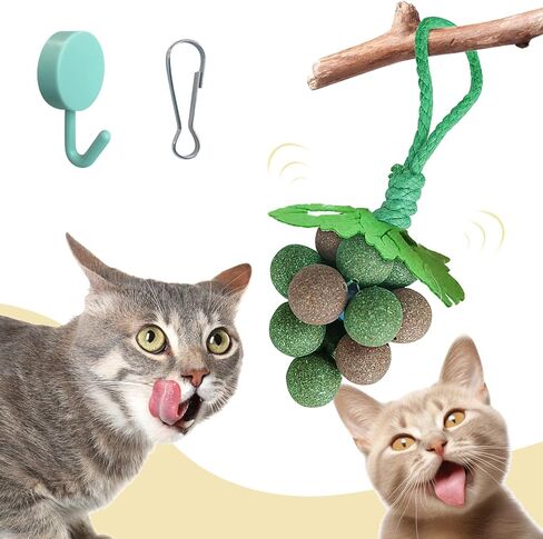 PAKESI Catnip Toys Balls,Set of 9 Catnip Balls and 4 Bug Berry Balls,Teeth Cleaning Cat Bite Toy, Cat Wall Treats, Interactive Cat Toys for Hours of Play in Kuwait