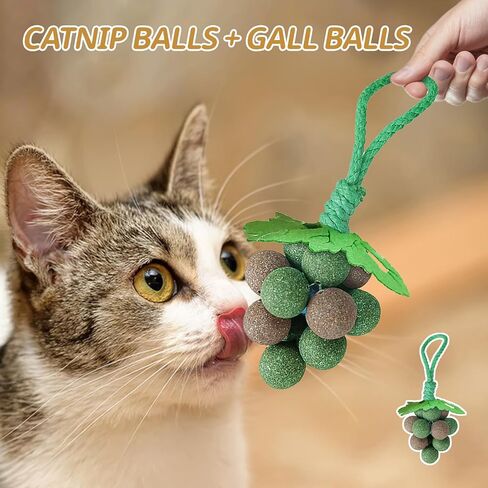 PAKESI Catnip Toys Balls,Set of 9 Catnip Balls and 4 Bug Berry Balls,Teeth Cleaning Cat Bite Toy, Cat Wall Treats, Interactive Cat Toys for Hours of Play in Kuwait