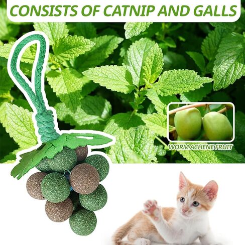 PAKESI Catnip Toys Balls,Set of 9 Catnip Balls and 4 Bug Berry Balls,Teeth Cleaning Cat Bite Toy, Cat Wall Treats, Interactive Cat Toys for Hours of Play in Kuwait