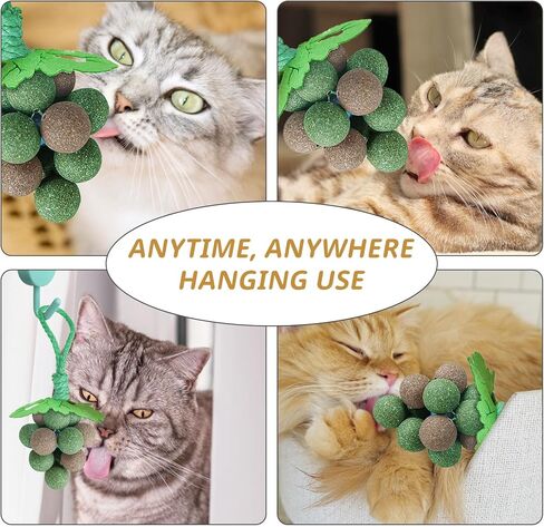 PAKESI Catnip Toys Balls,Set of 9 Catnip Balls and 4 Bug Berry Balls,Teeth Cleaning Cat Bite Toy, Cat Wall Treats, Interactive Cat Toys for Hours of Play in Kuwait