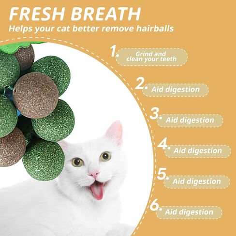 PAKESI Catnip Toys Balls,Set of 9 Catnip Balls and 4 Bug Berry Balls,Teeth Cleaning Cat Bite Toy, Cat Wall Treats, Interactive Cat Toys for Hours of Play in Kuwait