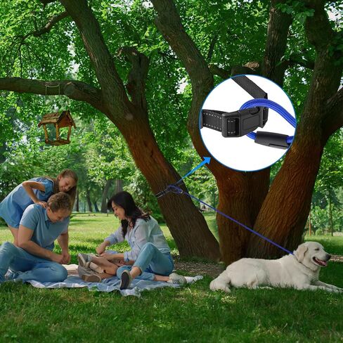 مقود الكلب بدون استخدام اليدين، مقود الجري، مقود الكلب بدون استخدام اليدين، حزام الخصر، مقود الكلب، مقود الكلب القابل للتعديل، مقود الكلب، مقود الخصر العاكس للمشي بدون استخدام اليدين in Kuwait