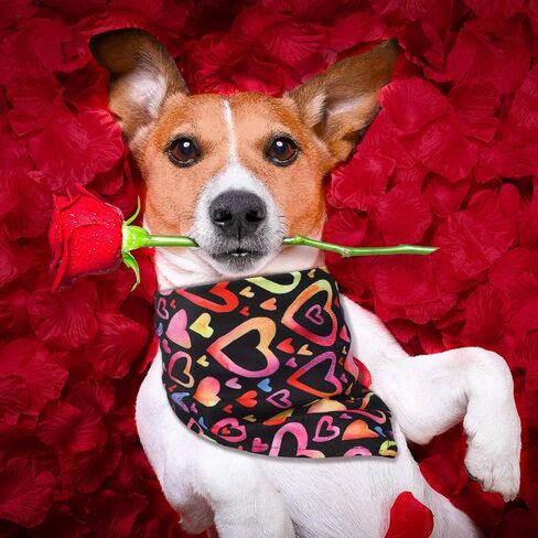 12 Pieces Valentine's Day Dog Bandana Triangle Bib Scarf with Lip Heart and Love Patterns Reversible Pet Neckerchief Accessories for Dogs Cats Pets (Lip and Heart Pattern) in Saudi Arabia