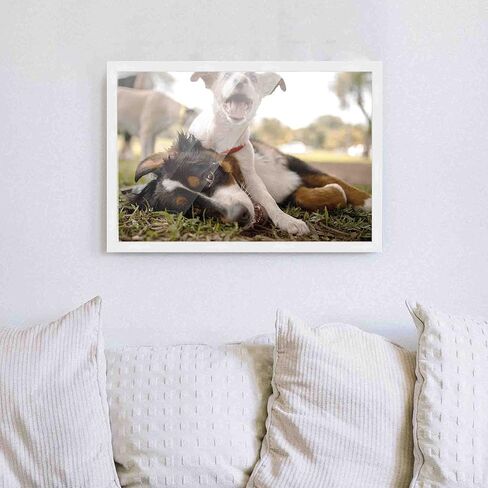 14x24 Frame White Real Wood Picture Frame Width 0.75 Inches | Interior Frame Depth 0.5 Inches | Bianca Mid Century Photo Frame Complete with UV Acrylic, Foam Board Backing & Hanging Hardware in Saudi Arabia