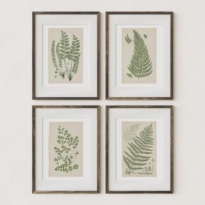 Wall Art Prints Botanical Fern Collection | Vintage Plant Decor for Home Accent | Antique Minimalist Wall Art for Bedroom, Bathroom & Living Room Decor | Set of 4 UNFRAMED Pictures (8 x 10, French Gray)