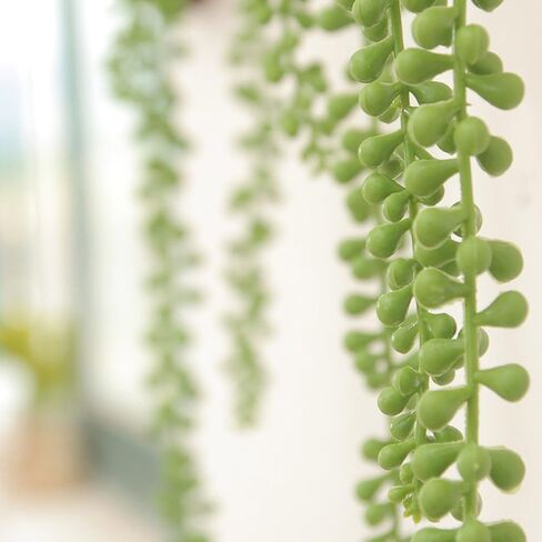 Sunrisee 2 Pcs Artificial Hanging Succulents Plants 2.3FT String of Pearls Hanging Basketplant Fake Lover's Tears Succulent for Home Garden Wall Decoration in Kuwait