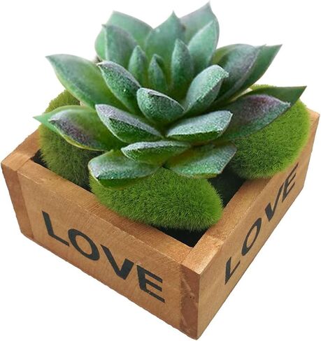 Woohome 24 PCS Artificial Moss Rocks Decorative and Artificial Succulent Plants Set, 20 PCS Fake Moss Decor and 4 PCS Green Fake Succulent for Floral Arrangements, Fairy Gardens and Crafting in Saudi Arabia