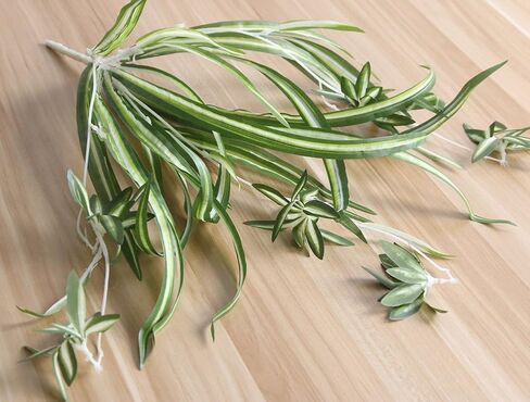 ليترتون 2 قطعة بلاستيك نبات عنكبوت صناعي ديكور المنزل الزفاف محاكاة الخضرة in Kuwait