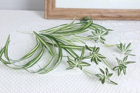 ليترتون 2 قطعة بلاستيك نبات عنكبوت صناعي ديكور المنزل الزفاف محاكاة الخضرة in Kuwait