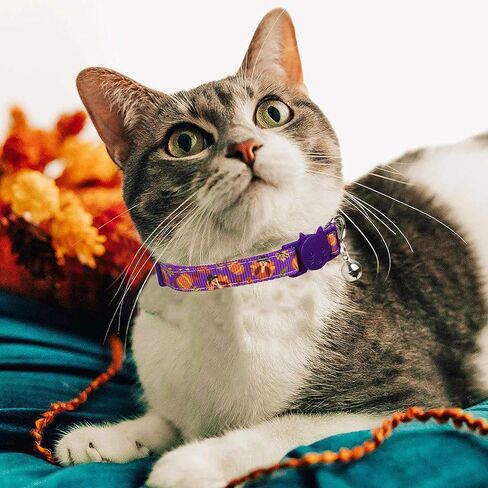 طوق القطط لعيد الشكر مع جرس، طوق قابل للانفصال لعطلة الخريف من كيتي كيتن للفتيات والفتيان والقطط الإناث in Kuwait