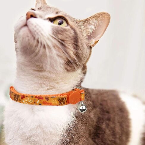 طوق القطط لعيد الشكر مع جرس، طوق قابل للانفصال لعطلة الخريف من كيتي كيتن للفتيات والفتيان والقطط الإناث in Kuwait