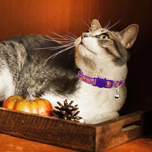 طوق القطط لعيد الشكر مع جرس، طوق قابل للانفصال لعطلة الخريف من كيتي كيتن للفتيات والفتيان والقطط الإناث in Kuwait