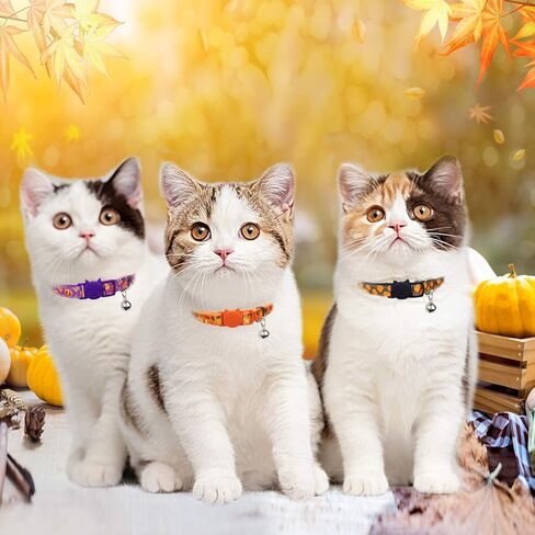 طوق القطط لعيد الشكر مع جرس، طوق قابل للانفصال لعطلة الخريف من كيتي كيتن للفتيات والفتيان والقطط الإناث in Kuwait