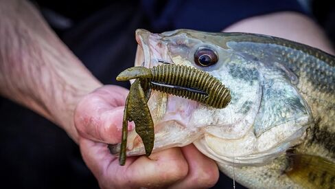بيركلي PowerBait MaxScent Creature Hawg طعم صيد ناعم in Saudi Arabia