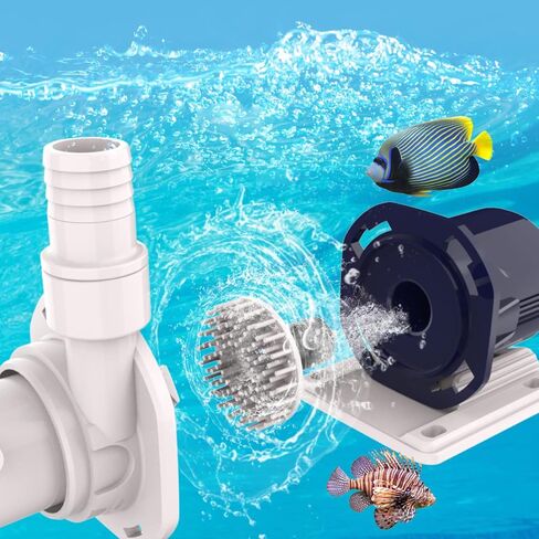 Protein Skimmers for Saltwater Aquariums up to 210 Gallons Fish Tank Cast Acrylic Protein Skimmer Ultra Quiet Needle Pinwheel DC Pump 23W for Big Tank Water Flow and Air Flow Adjustable in Kuwait