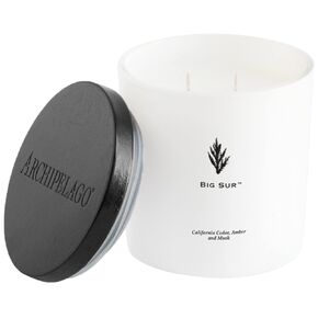 Archipelago Botanicals Big Sur Luxe Candle | California Cedar, Amber and Musk | Coconut Wax Blend and Double Wicks | Burns Approx. 100 Hours (13 oz)