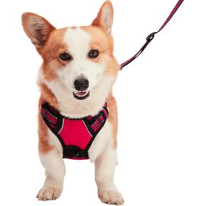 Mr. Peanut's PetTrek Reflective Dog Harness with Matching Leash, Adjustable Padded Oxford Vest, with Double Leash Clips (Extra Small, Orange) in Kuwait