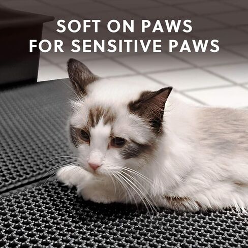 حصيرة فضلات القطط من WePet، حصيرة محاصرة فضلات القطط، حجم كبير، طبقة مزدوجة على شكل قرص العسل، خالية من الفثالات، مقاومة للماء للبول، سهلة التنظيف، تحكم في تناثر الخدوش، وسادات صندوق الماسك، سجادة مقاس 20 × 16 بوصة باللون الأسود in Kuwait