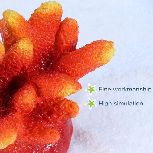 UEETEK 4 حزمة نبات المرجان الاصطناعي Seastar Shell ديكور حوض السمك الشعاب المرجانية زخرفة الراتنج الحرف الديكور لخزان الأسماك in Kuwait