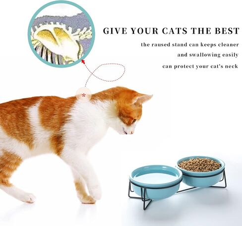 GDCZ Ceramics Raised Cat Small Dog Bowls with Heighten Metal Stand for Pet Food and Water Dishes, 15 Ounces (Black) in Saudi Arabia