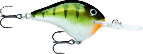 Rapala Rapala Dives to Fishing Lure in Saudi Arabia