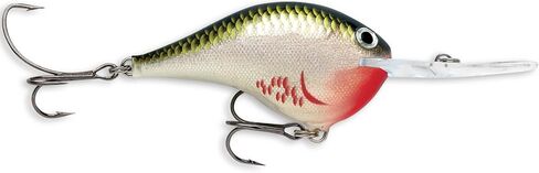 Rapala Rapala Dives to Fishing Lure in Saudi Arabia