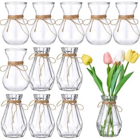 Lallisa 12 Pieces Bud Bulb Forcing Vases for Centerpieces Decorative Small Glass Flower Vases with Strings Clear Hyacinth Vase Plant Containers with Round and Rhombus Faceted for Wedding Plant Home