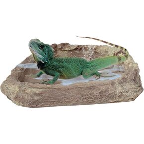 Needzo Terrarium Accessories for Reptiles, Medium Sized Reptile Bathing Pool for Frogs, Hermit Crabs, Lizards and More, Tank Decorations, 5 Inches in Kuwait