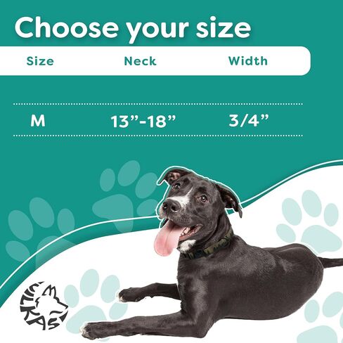 Vilkas Waterproof Dog Collar - Quick Release, Non-Stink, Durable, and Adjustable for Active Dogs/Puppys - Anti Odor, Dirt Proof, Heavy Duty, Easy to Clean, S/M/L, Forest, Medium, 13-18" Neck Size Fit in Saudi Arabia