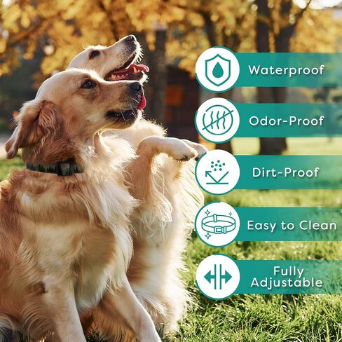 Vilkas Waterproof Dog Collar - Quick Release, Non-Stink, Durable, and Adjustable for Active Dogs/Puppys - Anti Odor, Dirt Proof, Heavy Duty, Easy to Clean, S/M/L, Forest, Medium, 13-18" Neck Size Fit in Saudi Arabia