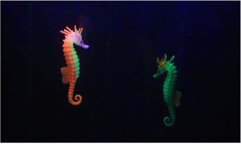 ليكسين 3 قطع من فرس البحر لتزيين حوض السمك من مادة السيليكون الناعمة الامنة - احمر واصفر واخضر in Kuwait