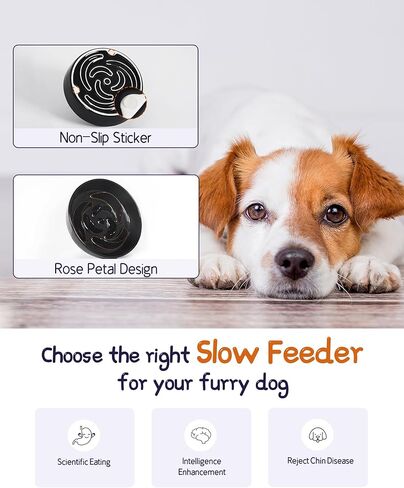 فلوتانت وعاء تغذية بطيء للكلاب مقاس M وL من السيراميك، وعاء تغذية بطيء للكلاب مقاس 7.6 انش لتناول الطعام السريع، وعاء غير قابل للانزلاق للاكل البطيء للطعام الجاف والرطب، وعاء طعام للكلاب، اسود in Kuwait