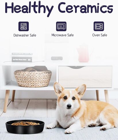 فلوتانت وعاء تغذية بطيء للكلاب مقاس M وL من السيراميك، وعاء تغذية بطيء للكلاب مقاس 7.6 انش لتناول الطعام السريع، وعاء غير قابل للانزلاق للاكل البطيء للطعام الجاف والرطب، وعاء طعام للكلاب، اسود in Kuwait
