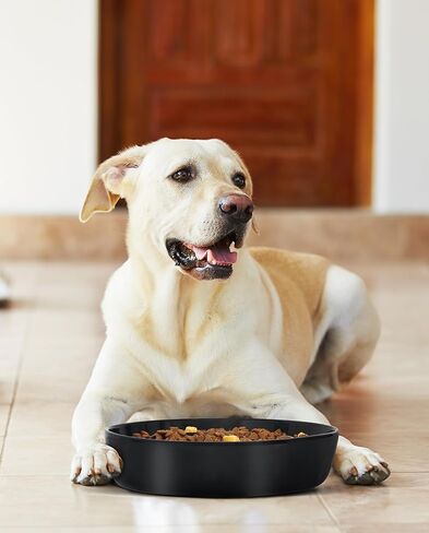 فلوتانت وعاء تغذية بطيء للكلاب مقاس M وL من السيراميك، وعاء تغذية بطيء للكلاب مقاس 7.6 انش لتناول الطعام السريع، وعاء غير قابل للانزلاق للاكل البطيء للطعام الجاف والرطب، وعاء طعام للكلاب، اسود in Kuwait