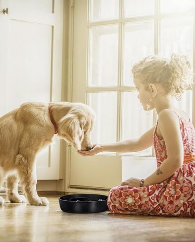 فلوتانت وعاء تغذية بطيء للكلاب مقاس M وL من السيراميك، وعاء تغذية بطيء للكلاب مقاس 7.6 انش لتناول الطعام السريع، وعاء غير قابل للانزلاق للاكل البطيء للطعام الجاف والرطب، وعاء طعام للكلاب، اسود in Kuwait