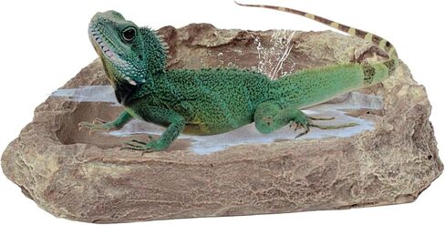 Needzo Terrarium Accessories for Reptiles, Medium Sized Reptile Bathing Pool for Frogs, Hermit Crabs, Lizards and More, Tank Decorations, 5 Inches in Saudi Arabia