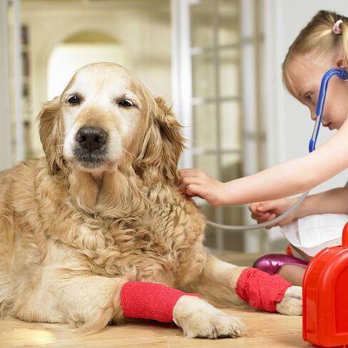 MorTime 24 حزمة من الضمادات ذاتية اللصق، لفات ضمادة متماسكة ملونة غير منسوجة متماسكة قابلة للتنفس، لفافة ذاتية اللصق من أجل الإصابات الرياضية والحيوانات الأليفة ومعصم الكاحل in Kuwait