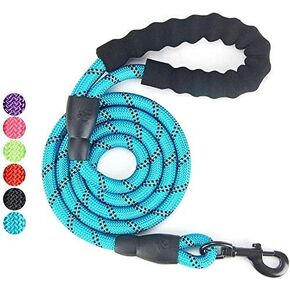Fullgaden 5 FT Reflective Dog Leash, Heavy Duty with Comfortable Padded Handle, Purple