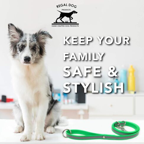 مقود عاكس من منتجات Regal Dog - مقود للكلاب بطول 5 أقدام مع خطاف طوق سهل الاستخدام، وخفيف الوزن، ومقود تدريب للحيوانات الأليفة للكلاب الصغيرة والمتوسطة والكبيرة والكلاب الكبيرة جدًا (أخضر فاتح) in Saudi Arabia