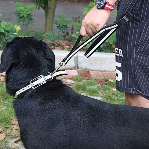 مقود عاكس من منتجات Regal Dog - مقود للكلاب بطول 5 أقدام مع خطاف طوق سهل الاستخدام، وخفيف الوزن، ومقود تدريب للحيوانات الأليفة للكلاب الصغيرة والمتوسطة والكبيرة والكلاب الكبيرة جدًا (أخضر فاتح) in Saudi Arabia