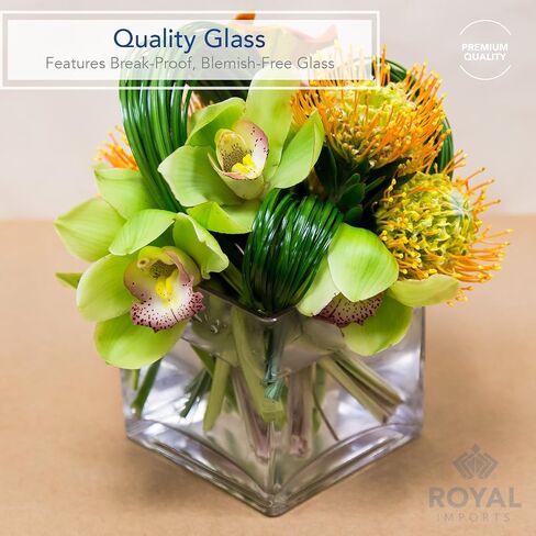 مزهرية زجاجية للزهور من Royal Imports قطعة مركزية مزخرفة للمنزل أو الزفاف، زجاج شفاف، شكل مكعب، بطول 15.24 سم، وفتحة 15.24 سم × 15.24 سم in Saudi Arabia