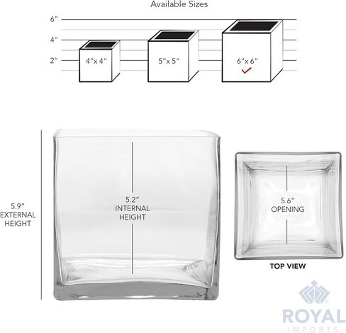 مزهرية زجاجية للزهور من Royal Imports قطعة مركزية مزخرفة للمنزل أو الزفاف، زجاج شفاف، شكل مكعب، بطول 15.24 سم، وفتحة 15.24 سم × 15.24 سم in Saudi Arabia