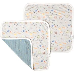 Copper Pearl Baby Security Blanket Set of 2 - Portable Size for Self-Soothing On-The-Go, Ideal Baby Blankets for Boys and Girls, Ultra-Soft, and Gift-Ready Loveys - Bogey
