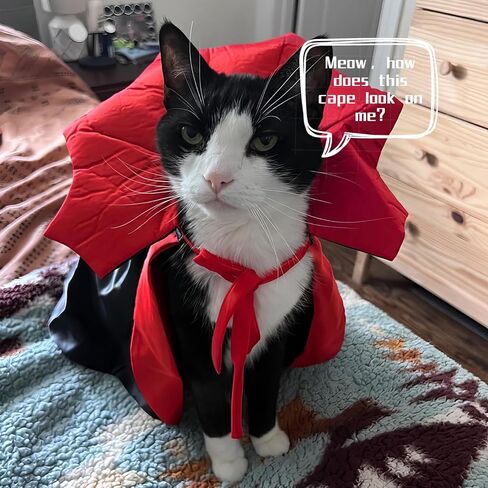 Halloween Pet Cape Spooktacular Dog Vampire Costume and Cat Devil Cosplay Cloak for Festive Dress-Up and Party in Kuwait