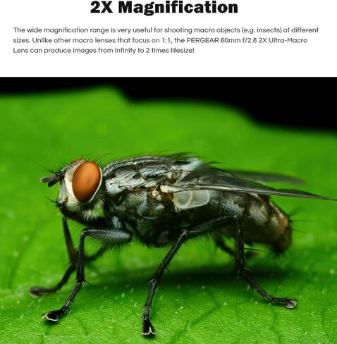 بيرجير عدسة ماكرو فائقة 60 ملم F2.8 مع تكبير مرتين متوافقة مع كاميرات نيكون زد ماونت Z6 Z7 Z50 in Kuwait