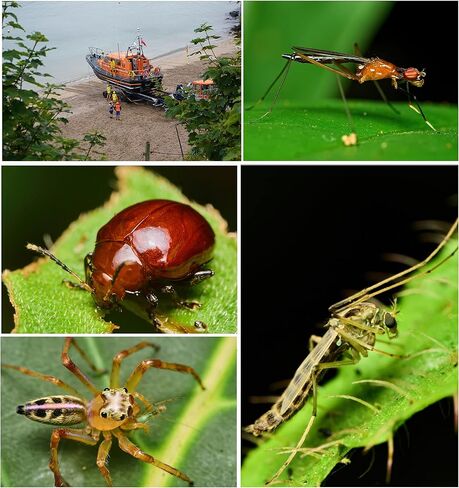 بيرجير عدسة ماكرو فائقة 60 ملم F2.8 مع تكبير مرتين متوافقة مع كاميرات نيكون زد ماونت Z6 Z7 Z50 in Kuwait