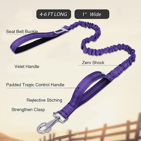 BUMBIN 6Ft Dog Leash Large Dogs, Bungee Dog Leash with 2 Handles, Heavy Duty Dog Leashes for Medium Small Dogs, No Pull Shock Absorbing Dog Leash with Car Seat Belt for Training, Brown in Kuwait