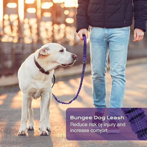 BUMBIN 6Ft Dog Leash Large Dogs, Bungee Dog Leash with 2 Handles, Heavy Duty Dog Leashes for Medium Small Dogs, No Pull Shock Absorbing Dog Leash with Car Seat Belt for Training, Brown in Kuwait
